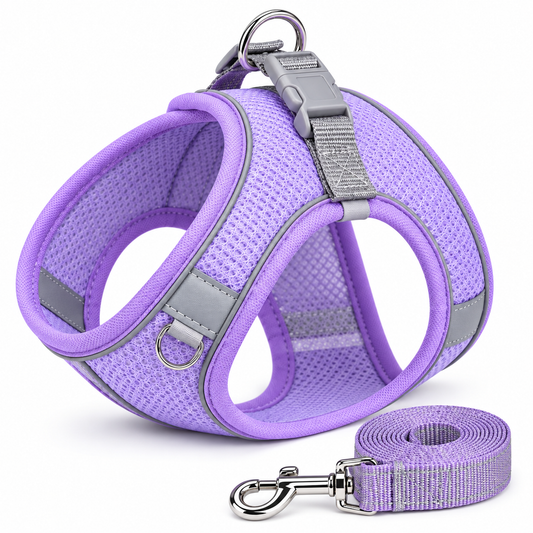 Lavender Air Mesh Puppy Harness Matching Leash Set