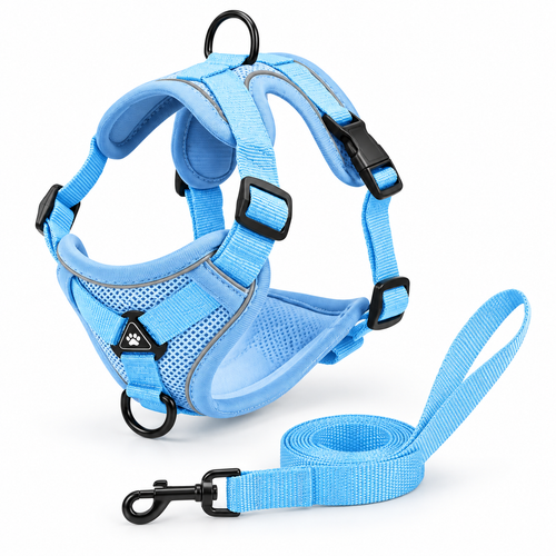 Sky Blue Active Mesh Puppy Walking Set