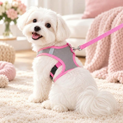 Embrovella Air Mesh Puppy Walk Set