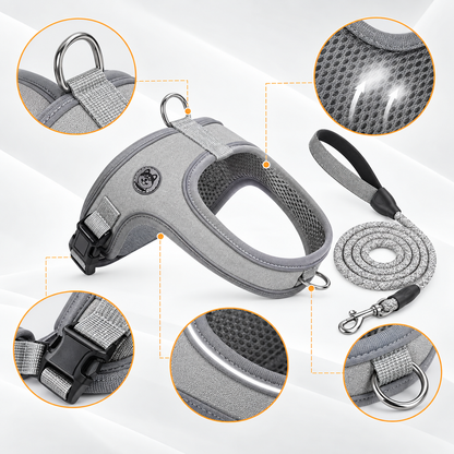 Slate Grey Active Dog Walk Set