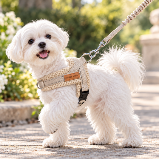 Embrovella Neutral Beige Mesh Walk Set