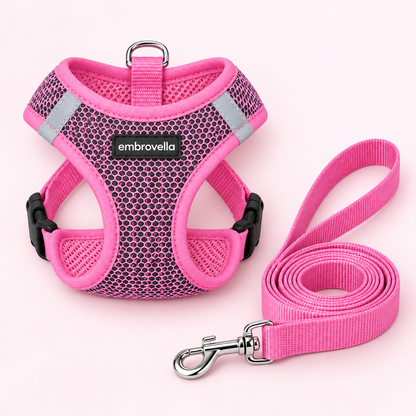 Embrovella Air Mesh Puppy Walk Set