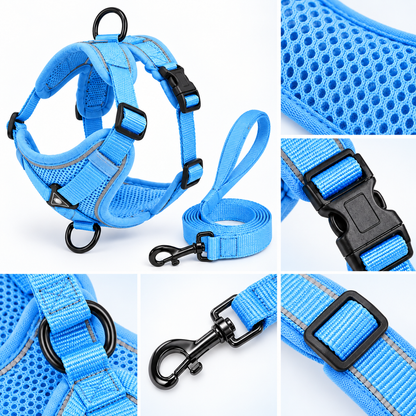 Sky Blue Active Mesh Puppy Walking Set