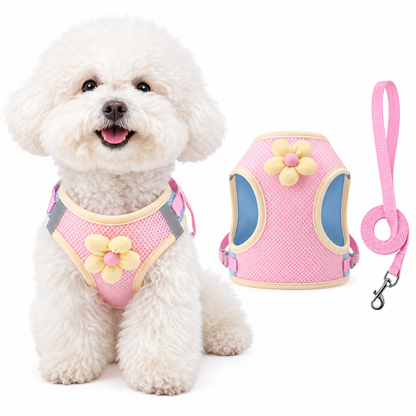 Pastel Blossom Step-In Dog Walking Set