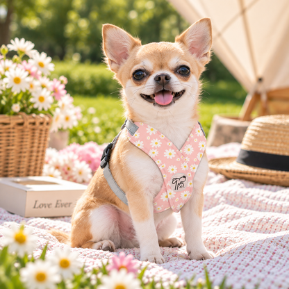 Daisy Floral Dog Harness Leash Set