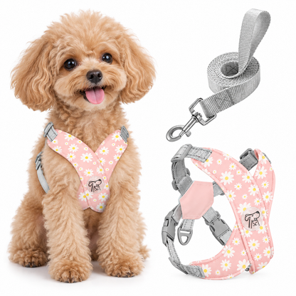 Daisy Floral Dog Harness Leash Set