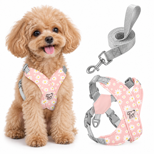 Daisy Floral Dog Harness Leash Set
