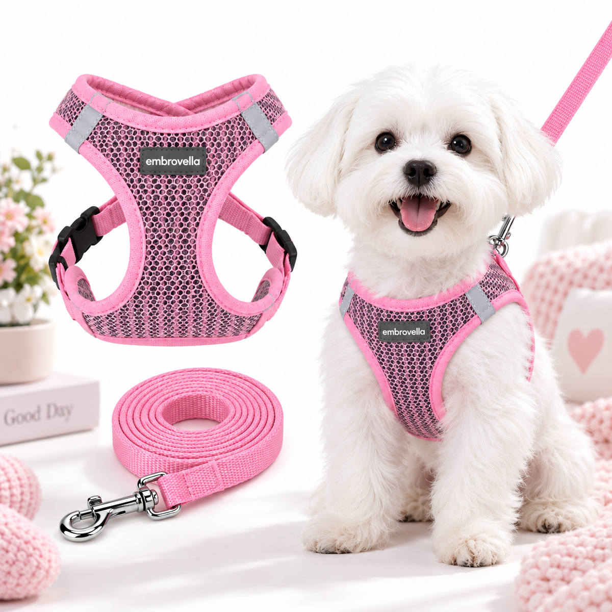 Embrovella Air Mesh Puppy Walk Set
