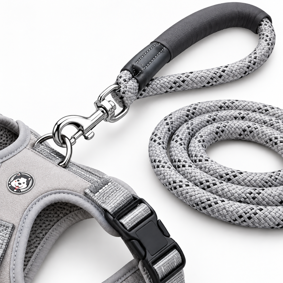 Slate Grey Active Dog Walk Set