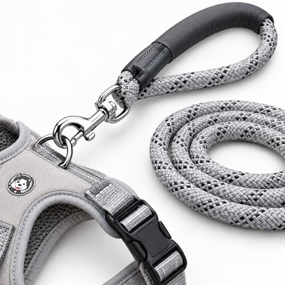 Slate Grey Active Dog Walk Set