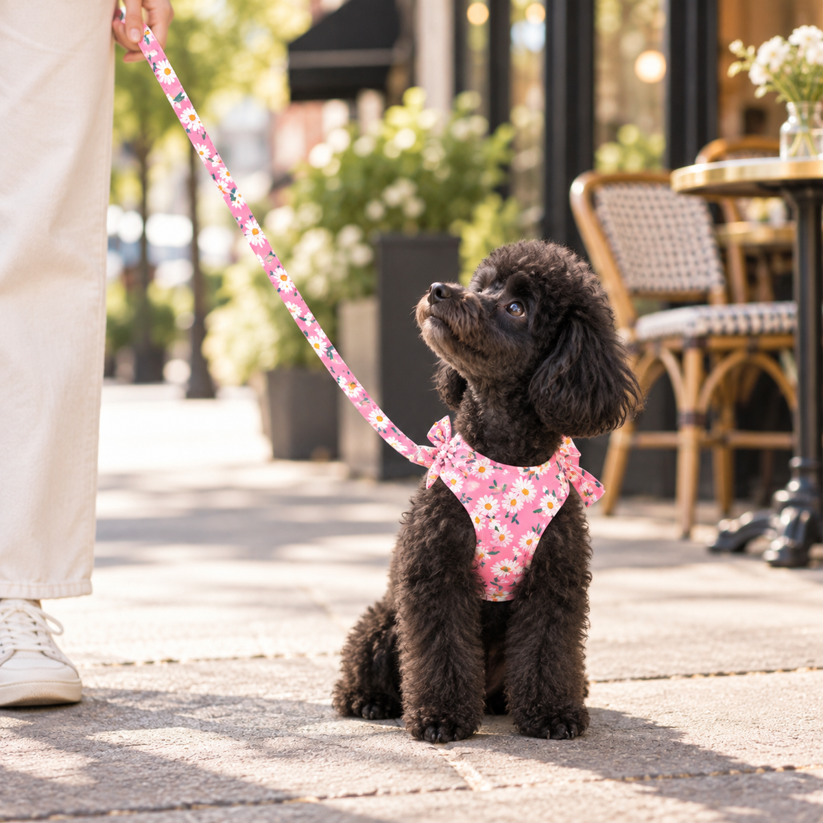 Pink Blossom Bow Dog Walking Set