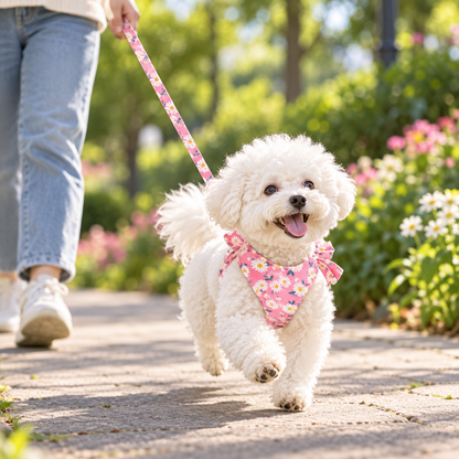 Pink Blossom Bow Dog Walking Set